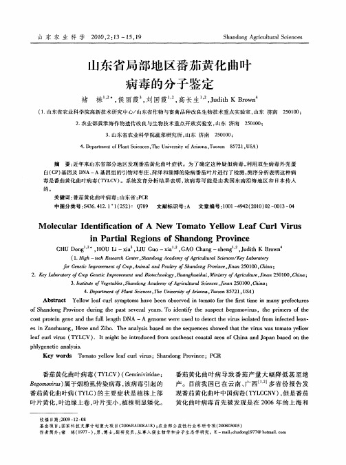 山东省局部地区番茄黄化曲叶病毒的分子鉴定