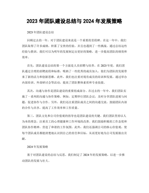 2023年团队建设总结与2024年发展策略