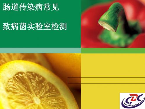 肠道传染病常见致病菌实验室检测