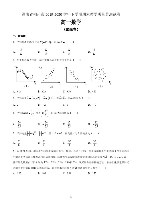 湖南省郴州市2019-2020学年高一下学期期末考试数学试题 含答案
