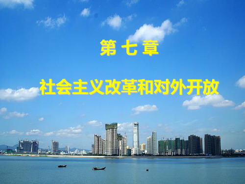 毛概第七章