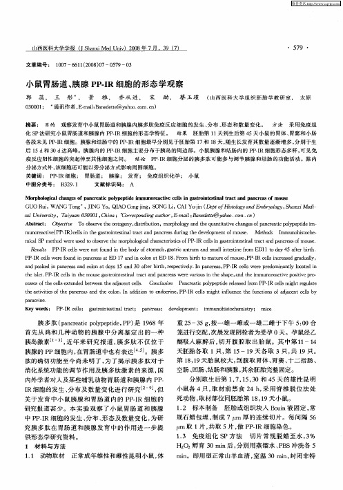 小鼠胃肠道、胰腺PP-IR细胞的形态学观察