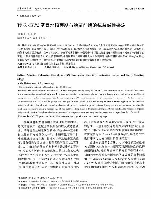 转OsCYP2基因水稻芽期与幼苗前期的抗盐碱性鉴定