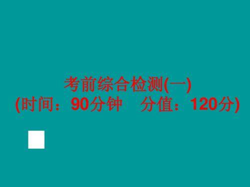 2014年中考化学(人教版)总复习：考前综合检测