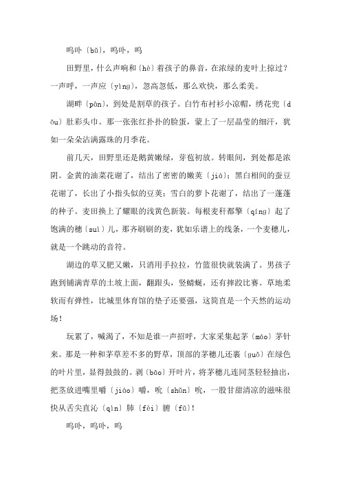 麦哨课文原文精选