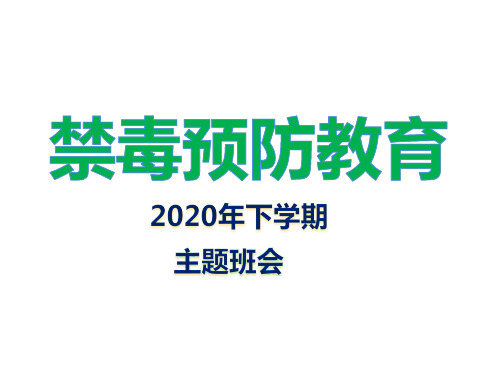 2020年禁毒预防教育主题班会PPT