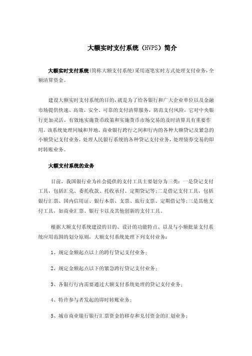 大额支付系统简介