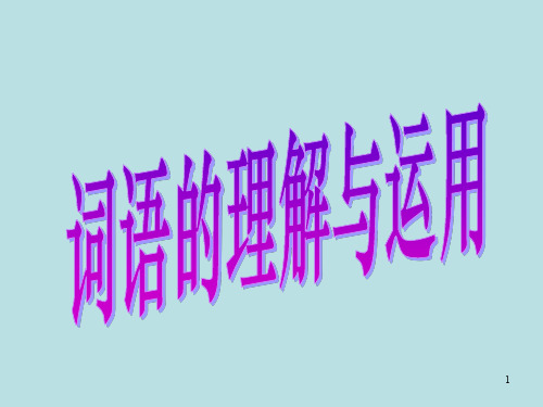 词语的理解与运用PPT幻灯片