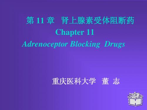 Pharmacology Chapter 11颜光美药理学 肾上腺素阻断药