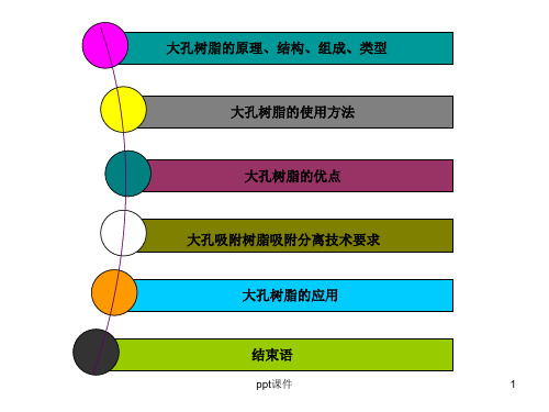 大孔树脂吸附原理及应用  ppt课件