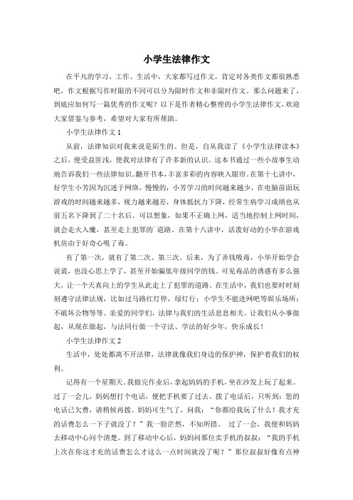 小学生法律作文