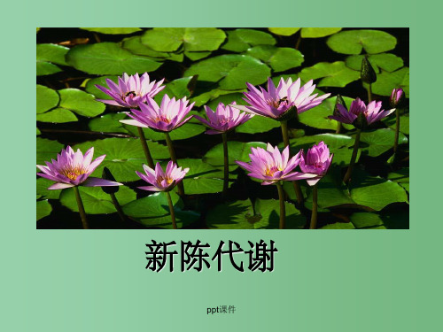 高中生物 第二节细胞的能量 新陈代谢与ATP 新人教版必修1