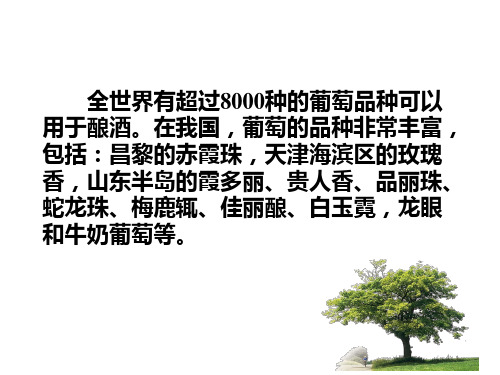 人教生物选修1专题1课题1果酒和果醋的制作(共33张PPT)