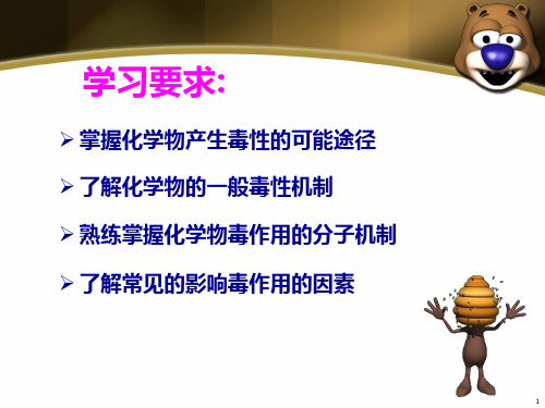 外源化学物的毒理机制