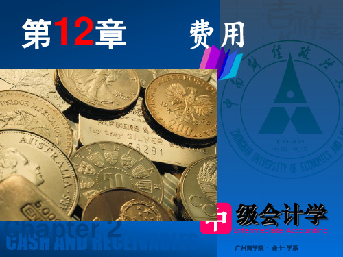 (欧阳)12章费用-中财-刘永泽2015(1).