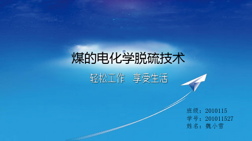 煤的电化学脱硫技术