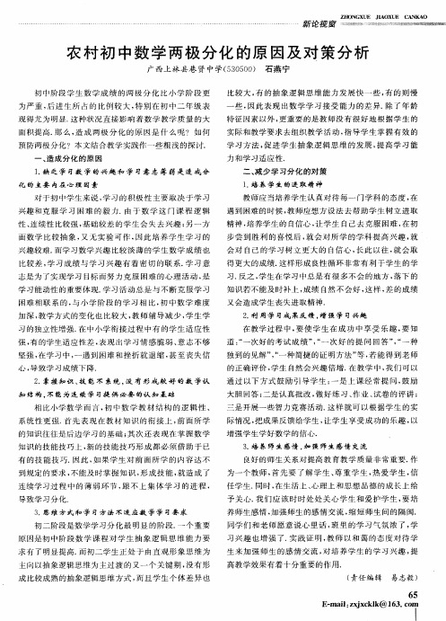 农村初中数学两极分化的原因及对策分析