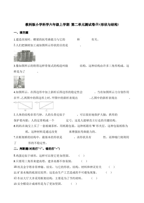 六年级上册科学单元测试- 第二单元测试卷(B)(形状与结构)  教科版(含解析)