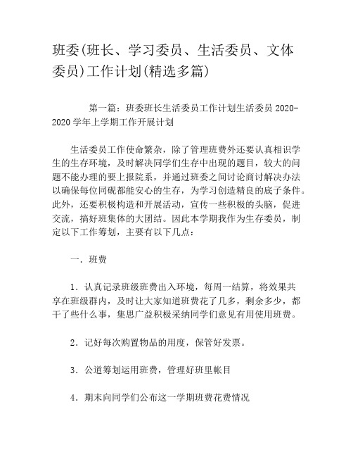 班委(班长、学习委员、生活委员、文体委员)工作计划(精选多篇)