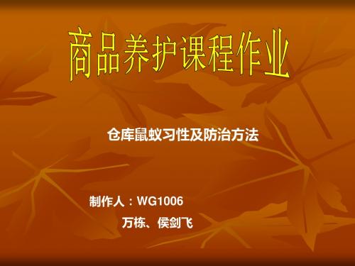 仓库鼠蚁习性及防治方法-PPT文档资料