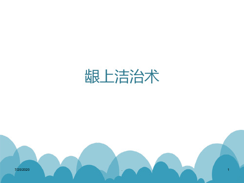 龈上洁治术PPT课件