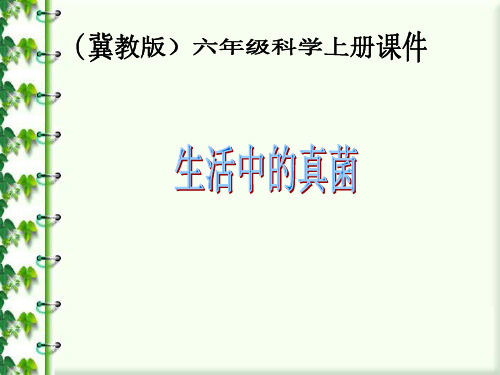 《生活中的真菌》ppt课件(2篇)