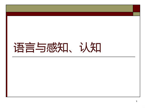 语言、感知、认知PPT课件