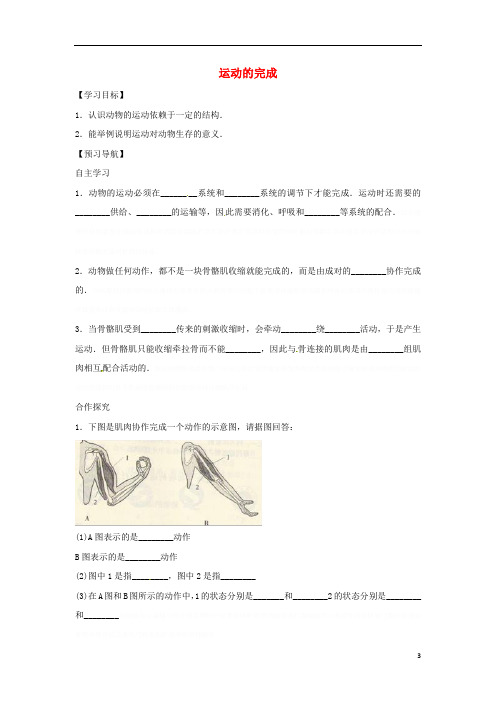 八年级生物上册..运动的完成导学案(答案不全)(新版)冀教版