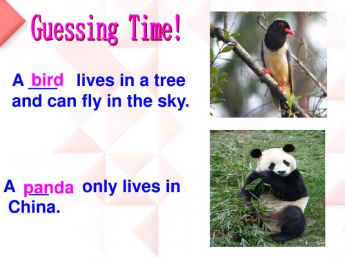 冀教版七年级英语上册  Unit 6 Lesson 33《Let’s Go to the Zoo!》(共20张PPT)