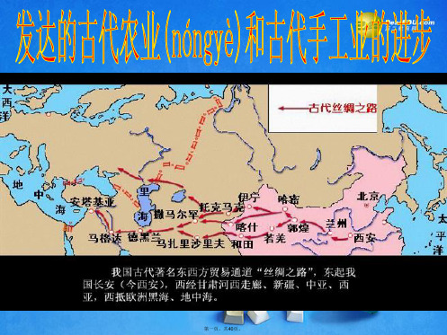 高考历史一轮复习(考点突破+史论互证+高考研习)发达的古代农业和古代手工业的进步课件 岳麓版必修2