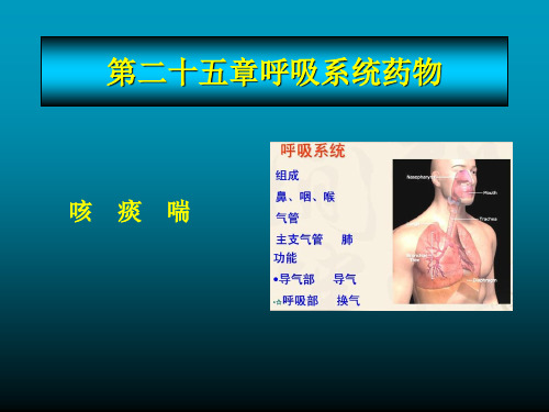 药理学精品课件第25章呼吸系统药物