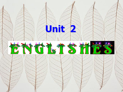 测绘工程专业英语Unit 2
