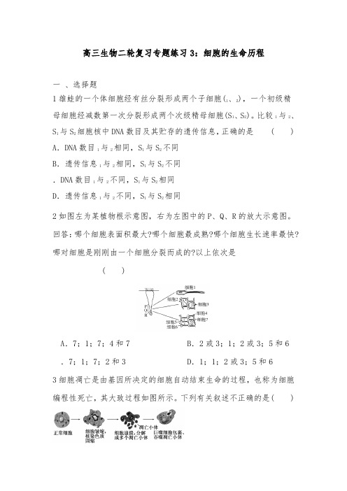 [精品]新高三生物二轮复习专题训练3细胞的生命历程及答案