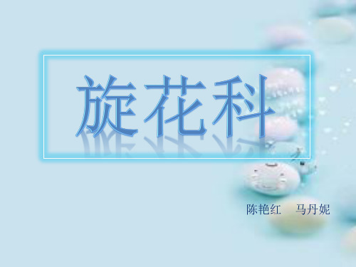 旋花科