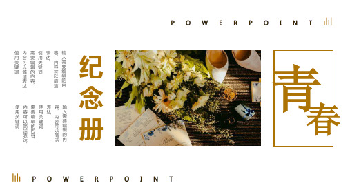 复古怀旧风青春纪念相册通用PPT模板