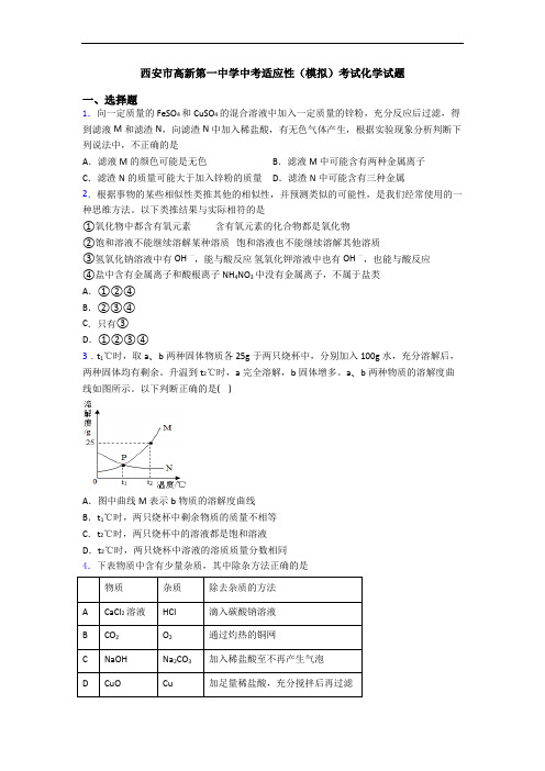 西安市高新第一中学中考适应性(模拟)考试化学试题