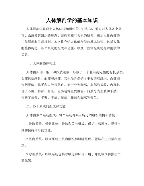 人体解剖学的基本知识