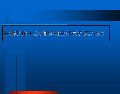 原料药制备工艺申报资料的技术要求-武汉-李眉