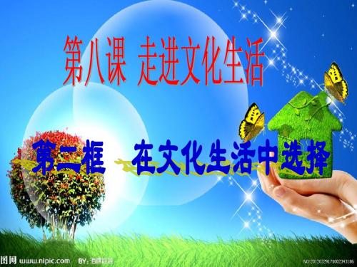 8.2《在文化生活中选择》
