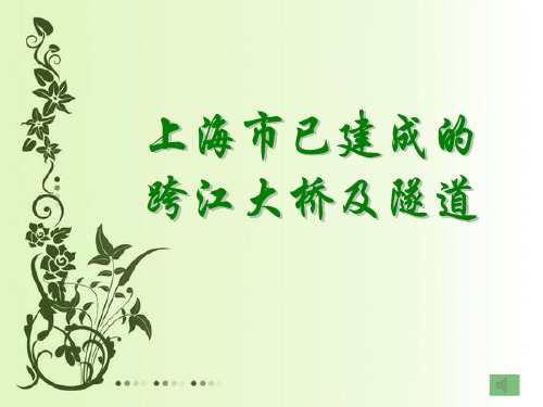 上海市已建成的跨江大桥及隧道