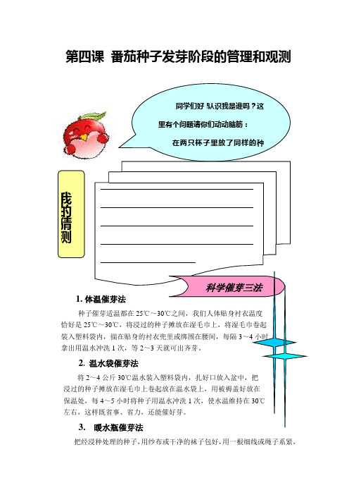 第四课番茄种子发芽阶段的管理和观测_20090930042425248
