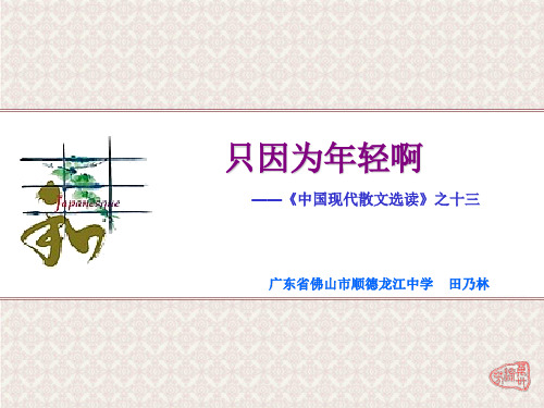 只因为年轻啊ppt3