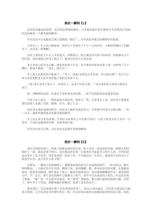 美在一瞬间作文
