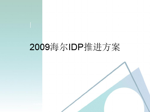 IDP培训教材ppt课件