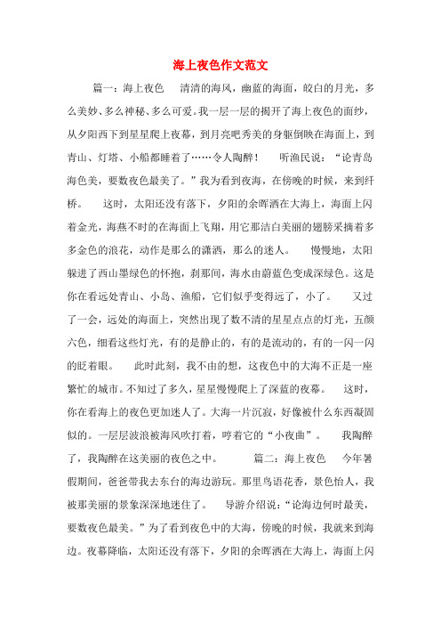 海上夜色作文范文