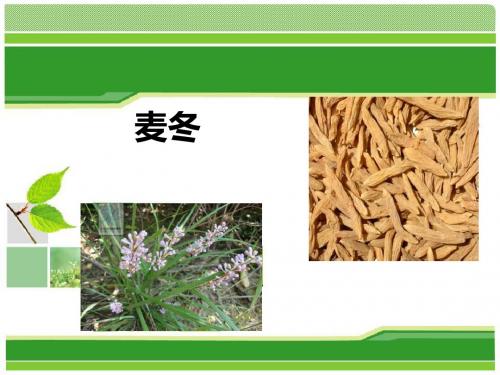 中药麦冬的鉴定 共32页