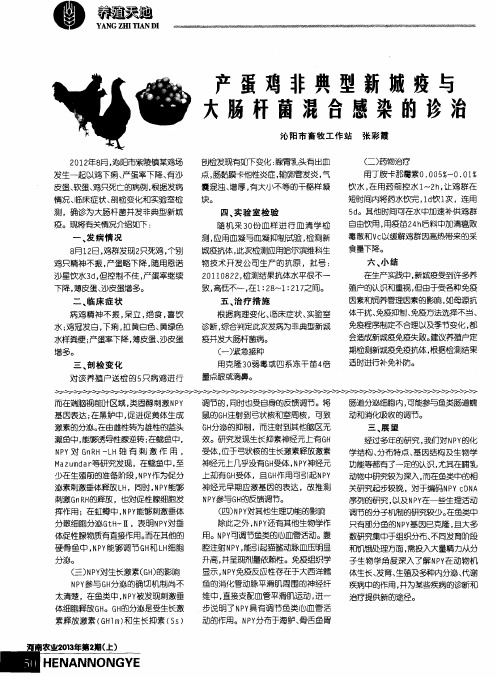 产蛋鸡非典型新城疫与大肠杆菌混合感染的诊治