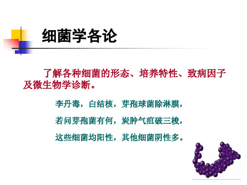 第8章革兰氏阳性球菌ppt课件