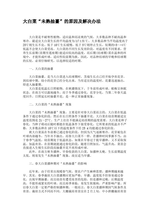 大白菜“未熟抽薹”的原因及解决办法解析