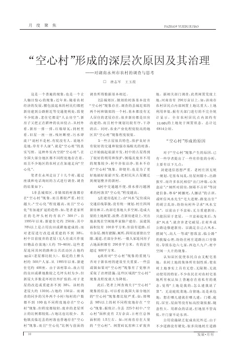 _空心村_形成的深层次原因及其治理_对湖南永州市农村的调查与思考